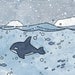 Killer Whale illustration watercolor print 5x7