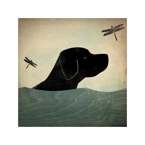 Summer Swim - Black (Red, Yellow, Brown too) Dog giclee print 7x7inch LABRADOR RETRIEVER