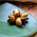 Enameled Yellow Tulip Bead Caps. Small Flower Smooth Caps. Fabulous Handmade Jewelry Findings