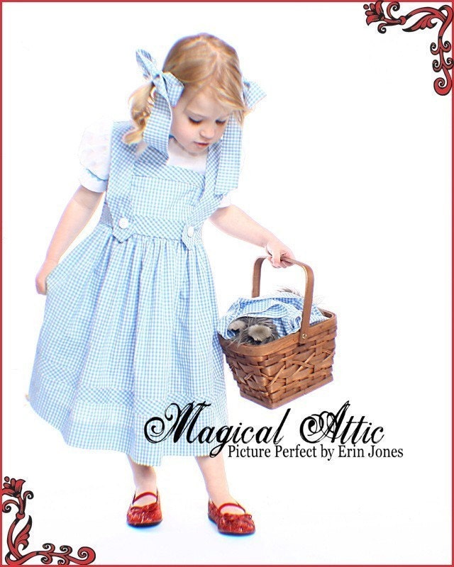 Custom Boutique Halloween DOROTHY of Wizard of Oz Girl Size Costume Dress