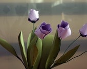 Pleasing Plum Tulips