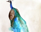 30% Off SALE - Watercolor Painting - Peacock Art - Bird Art Watercolor - Peacock - Large Print 20x30 - Poster
