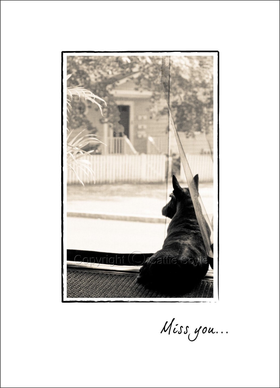 Miss You / Thinking of You Scottie Dog Greeting Card