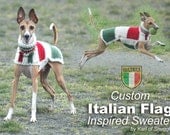 Custom Crocheted Italian Flag Italian Greyhound Sweater