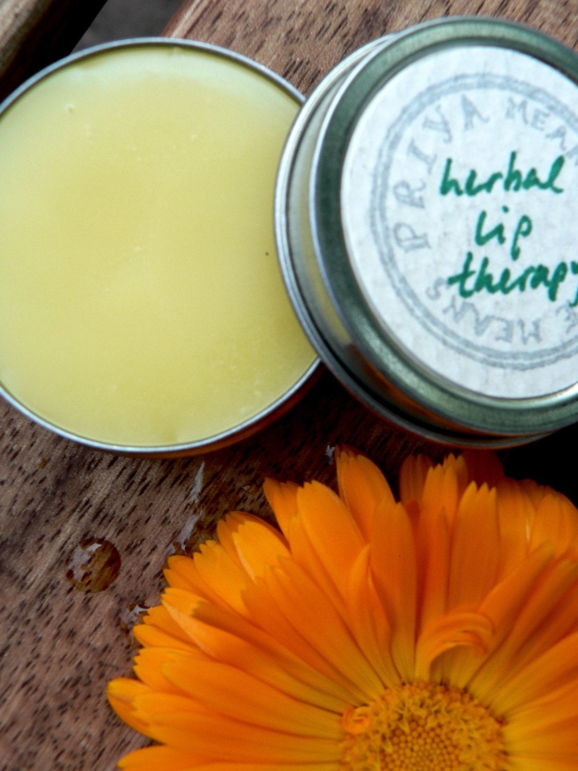 Herbal Lip Therapy - Organic, Super-Nourishing Glossy Lip Balm (1/2 oz screwtop tin)