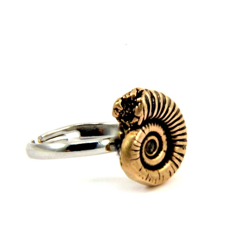 Ammonite Nautilus Fossil Ring