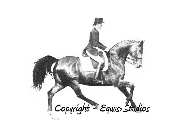 Dressage Horse Art, Equestrian Artwork - 12 x 17", Limited Edition Print of Equine Art Drawing