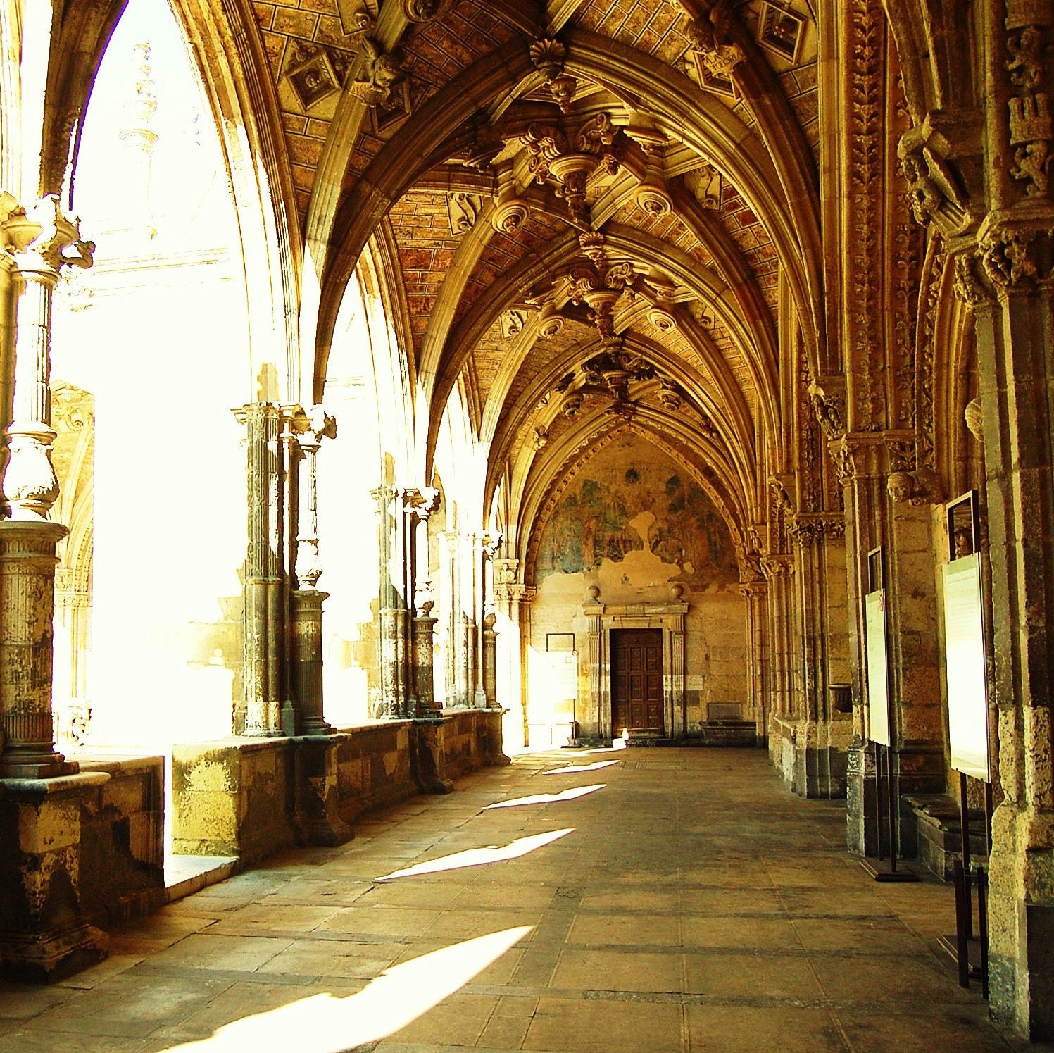 Eloquence - 8x8 Fine Art Spain Leon Cathedral Architecture Photography Print - Beautiful Camino de Santiago Memorabilia