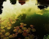 Golden Pond - A4 Lotus Lake Surreal Zen Bali Photography Print - Unique Gift for Holidays, Birthdays, Spa lovers