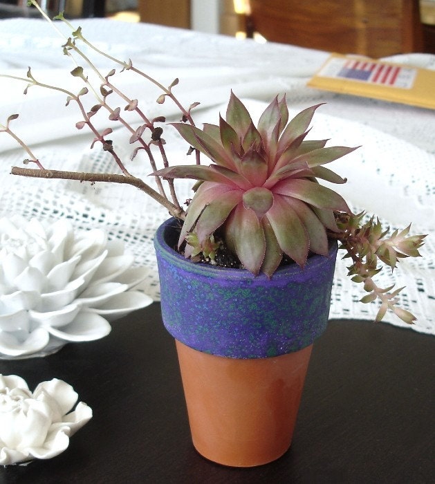 Planter Velvet Purple - Terracotta Indoor Gardening flower pot, Clay, modern small pot