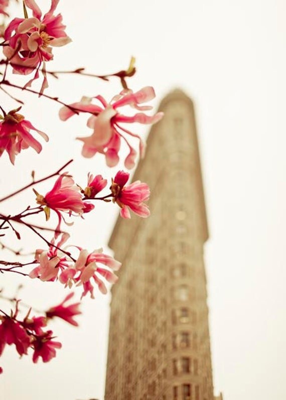 New York City Photography, Flatiron Building, Decor gift for women, Pink Magnolias, beige, home decor, 5x7