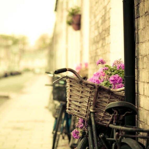Pastel Summer decor, bicycle photography, Romantic French country, pink, yellow, beige, soft and dreamy