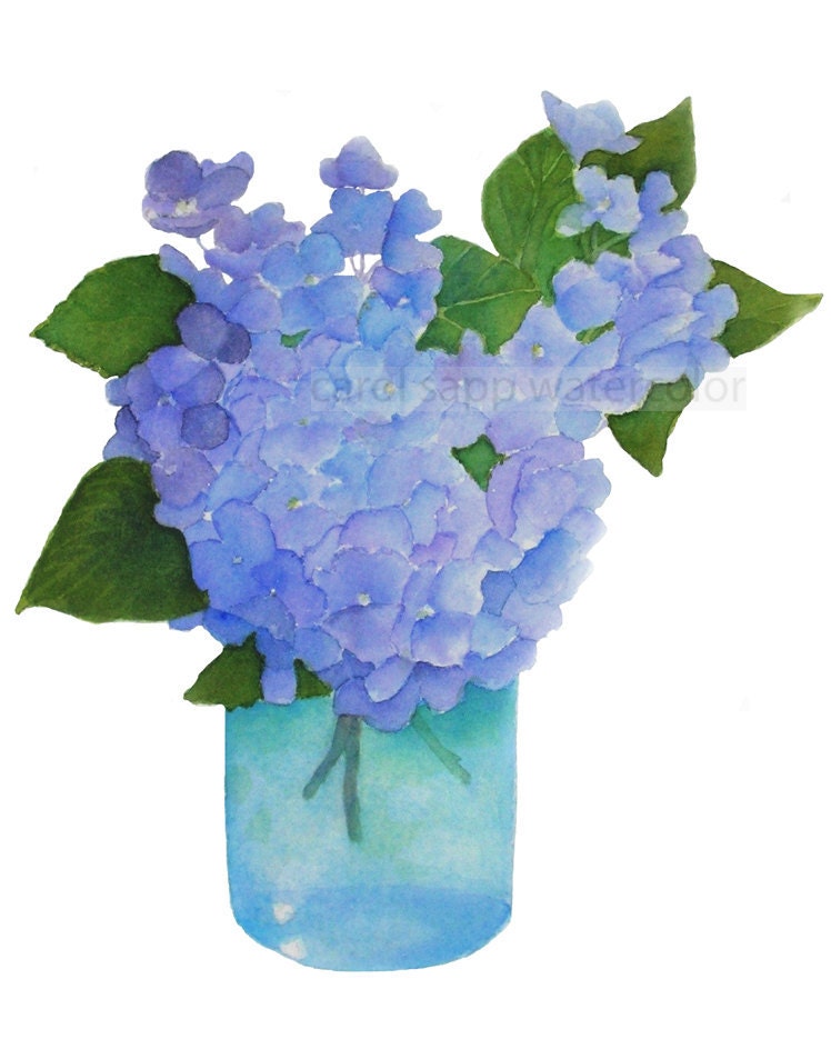 hydrangeas in vase 11x14 archival print by Carol Sapp