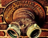Urban Photography patina celery green fire dept words kids industrial relief water warm rust Ha ha ha its sprinkler time 8x8 fine art