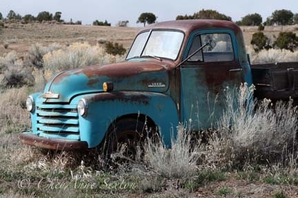 Old Blue Chevrolet Pickup in field photograph 4 x 7