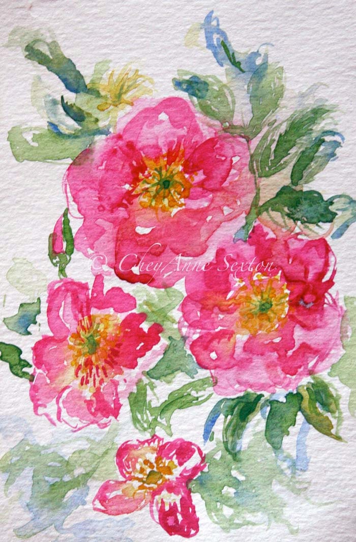 flower art - wild pink love roses - giclee watercolour print - home decor fine art