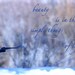 Bird Art - Quote Art - Beauty is in the Simple Things - lovely mystical, winter wonderland, fine art photograph