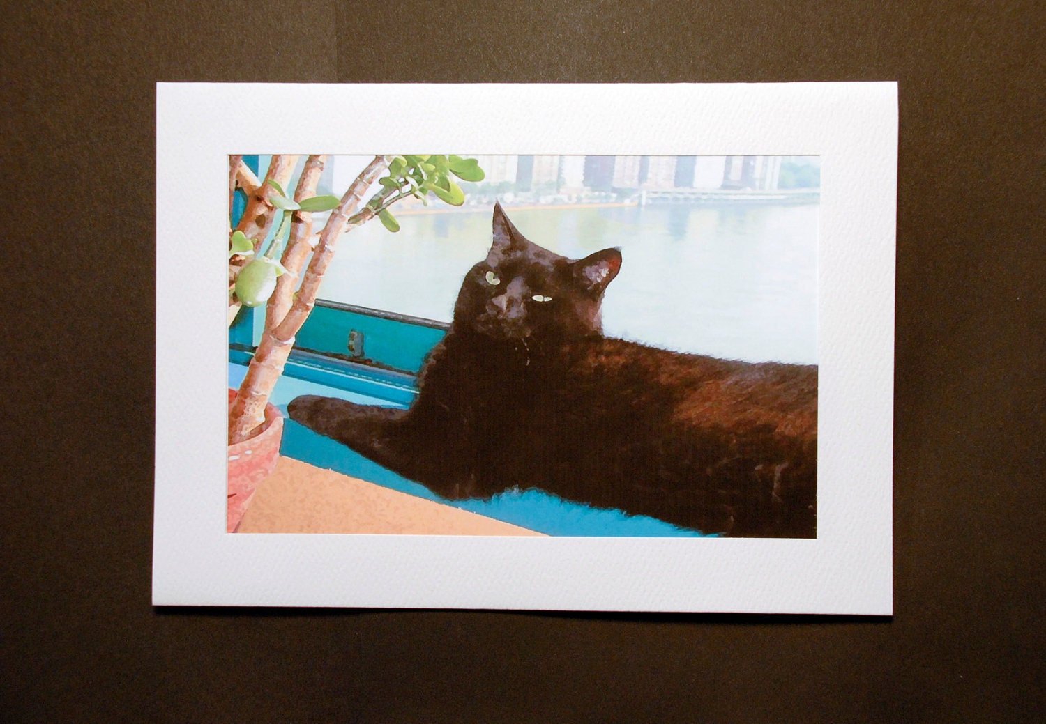 Black Cat Card-  Black Cat Lazy Afternoon