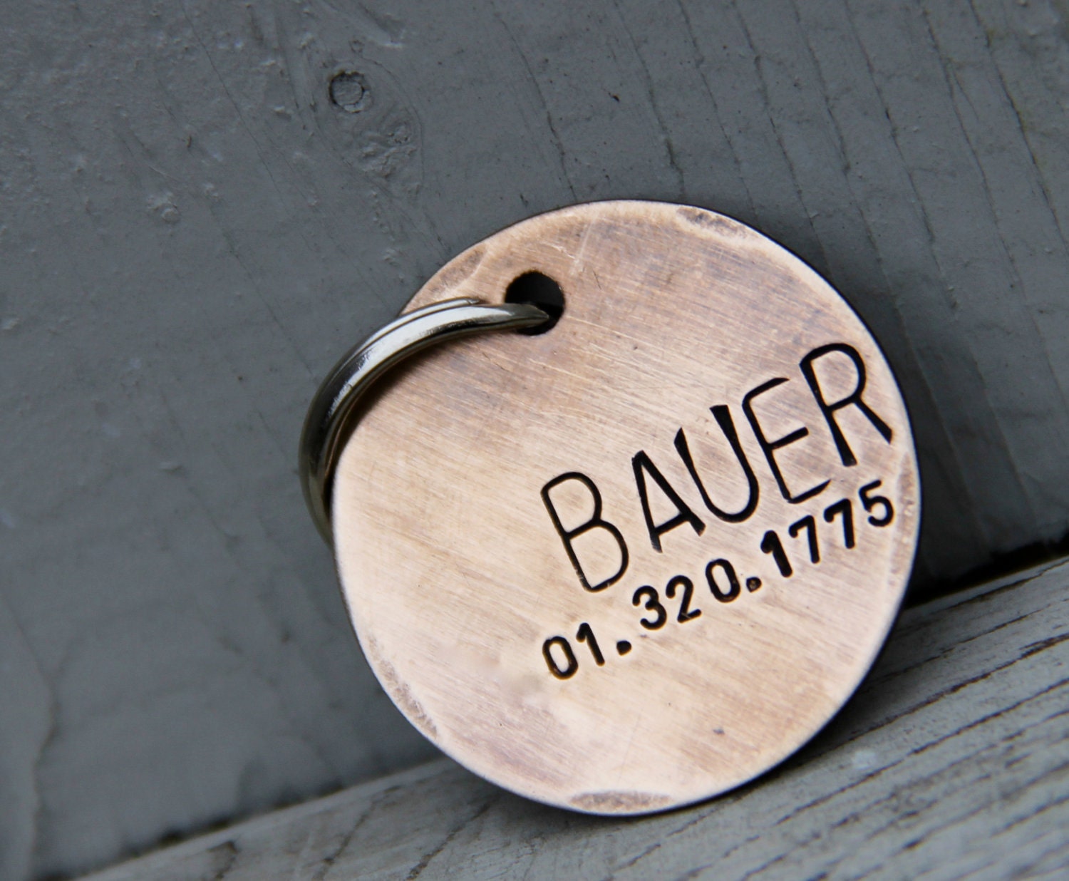 Custom Pet ID Tag - Bauer - in Brushed 1.25'' Bronze