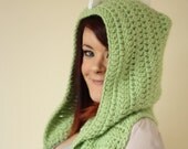 Dinosaur Hodded Scarf with Pockets