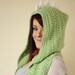 Dinosaur Hodded Scarf with Pockets
