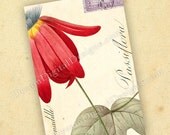 Flower Gift Tag Digital Collage Sheet Printable Images Botanical INSTANT DOWNLOAD No.293