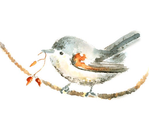 Bird print, baby nursery art, winter decor, bird watercolor painting, bird art print, cute bird print -  Generous Puff, 8x10