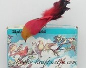 Feathered Red Bird with Long Tail Ornament