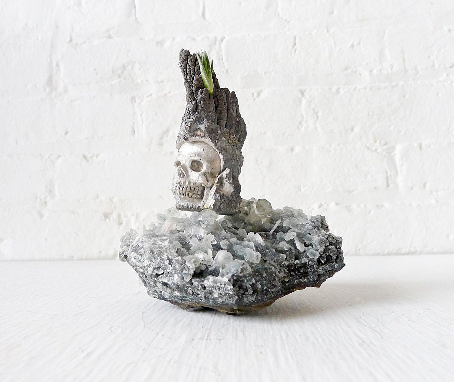 10% SALE - Metal Warrior - Aluminum Ore Carved Skull on India Crystal w/ LIVE Air Plant Accent