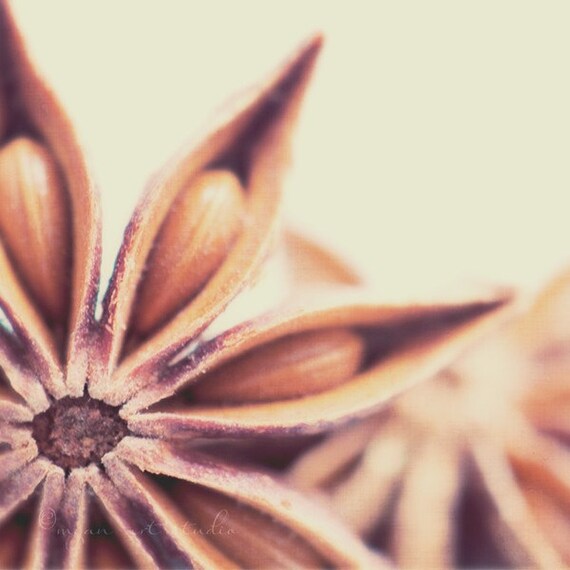 food photography, star anise still life holiday a little sugar, a little spice no.1, coffee brown food kitchen print baking, desserts sweets