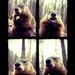 Animal Photography - Marmot Posing - Wildlife Print - Groundhog Day - Nature Wall Art - Funny Animal