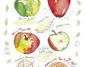 Apple pie recipe Kitchen art print French cake 8X10 Watercolor Fruit Food illustration Bakery poster Home decor