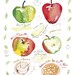 Apple pie recipe Kitchen art print French cake 8X10 Watercolor Fruit Food illustration Bakery poster Home decor