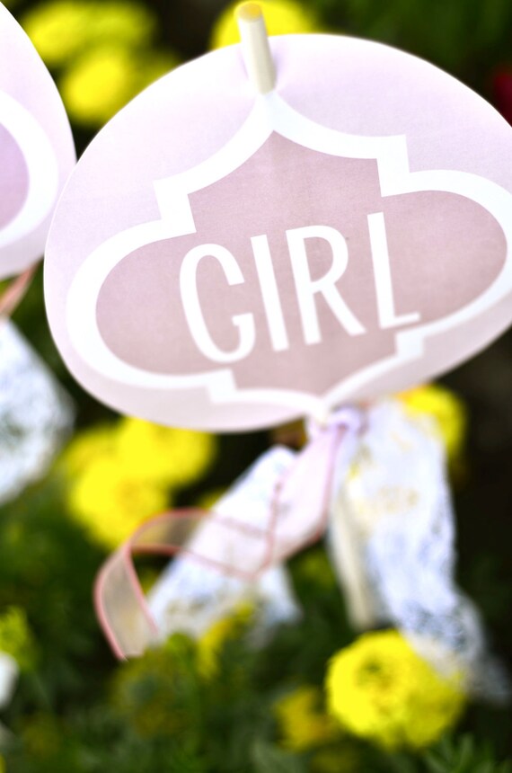 Vintage Pink Baby Shower PRINTABLE Party Yard Sign by Love The Day Il_570xn