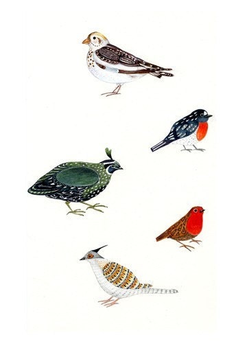 Bird Giclee art print bird illustration print 8x11