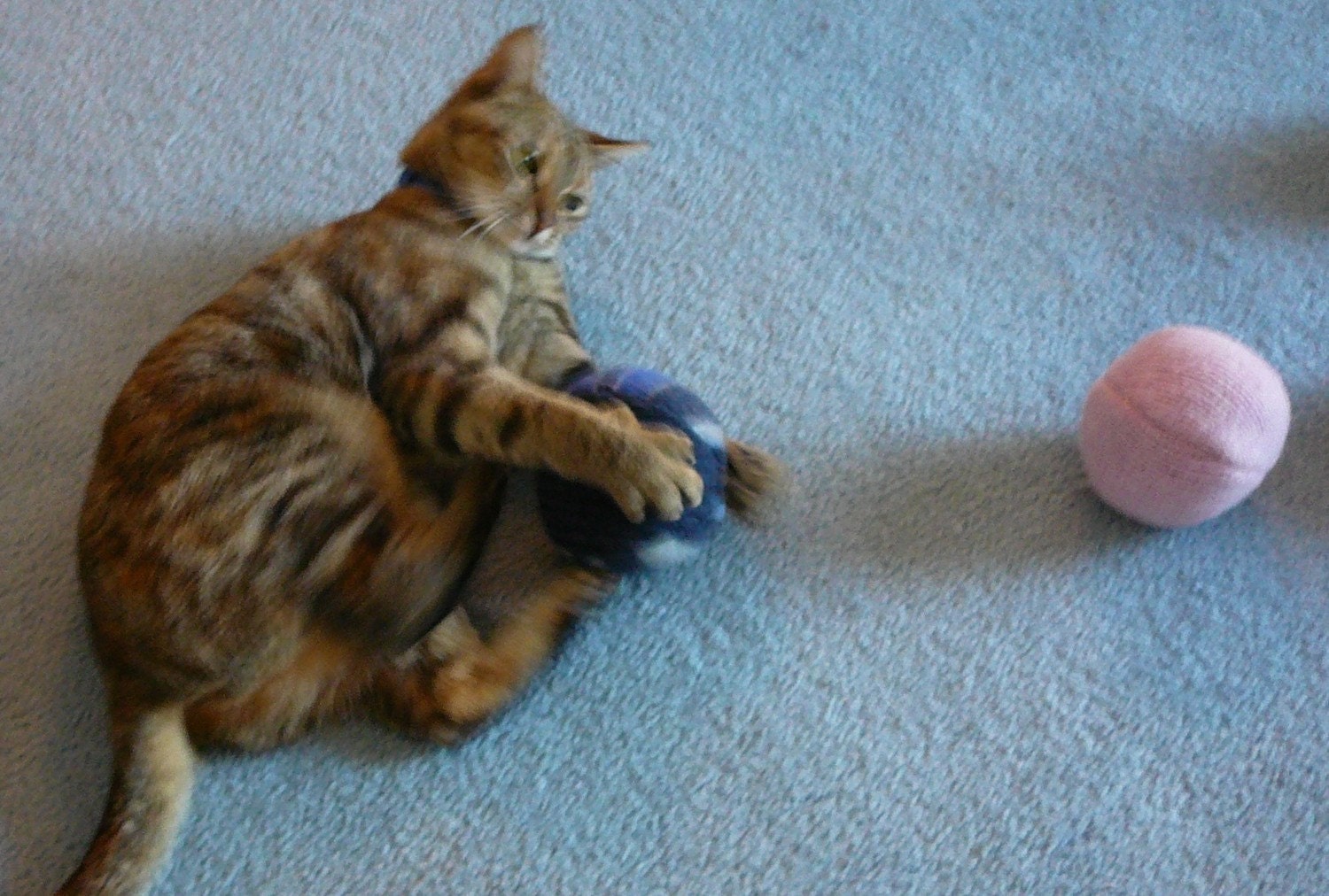 Cat Toy 2 Eco Friendly Cat Toys Sweater Balls