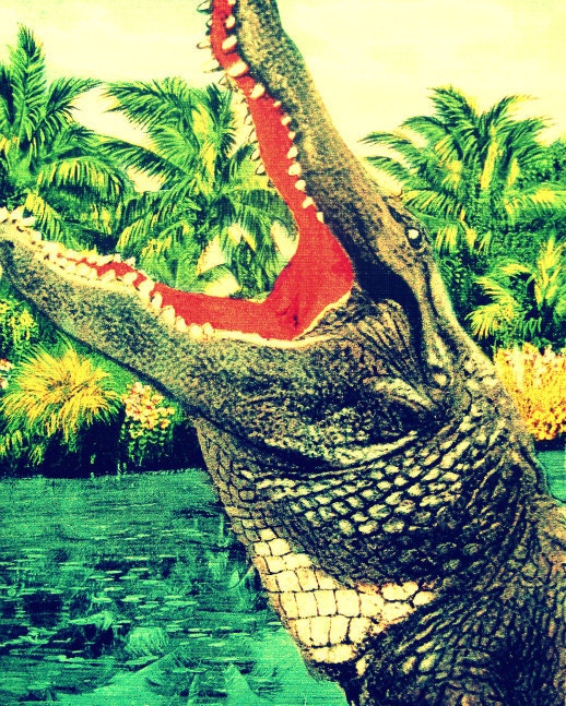alligator photo GATOR'S got yer GRANNY 8x10 retro Florida 1940s salmon aqua reptile print kids room