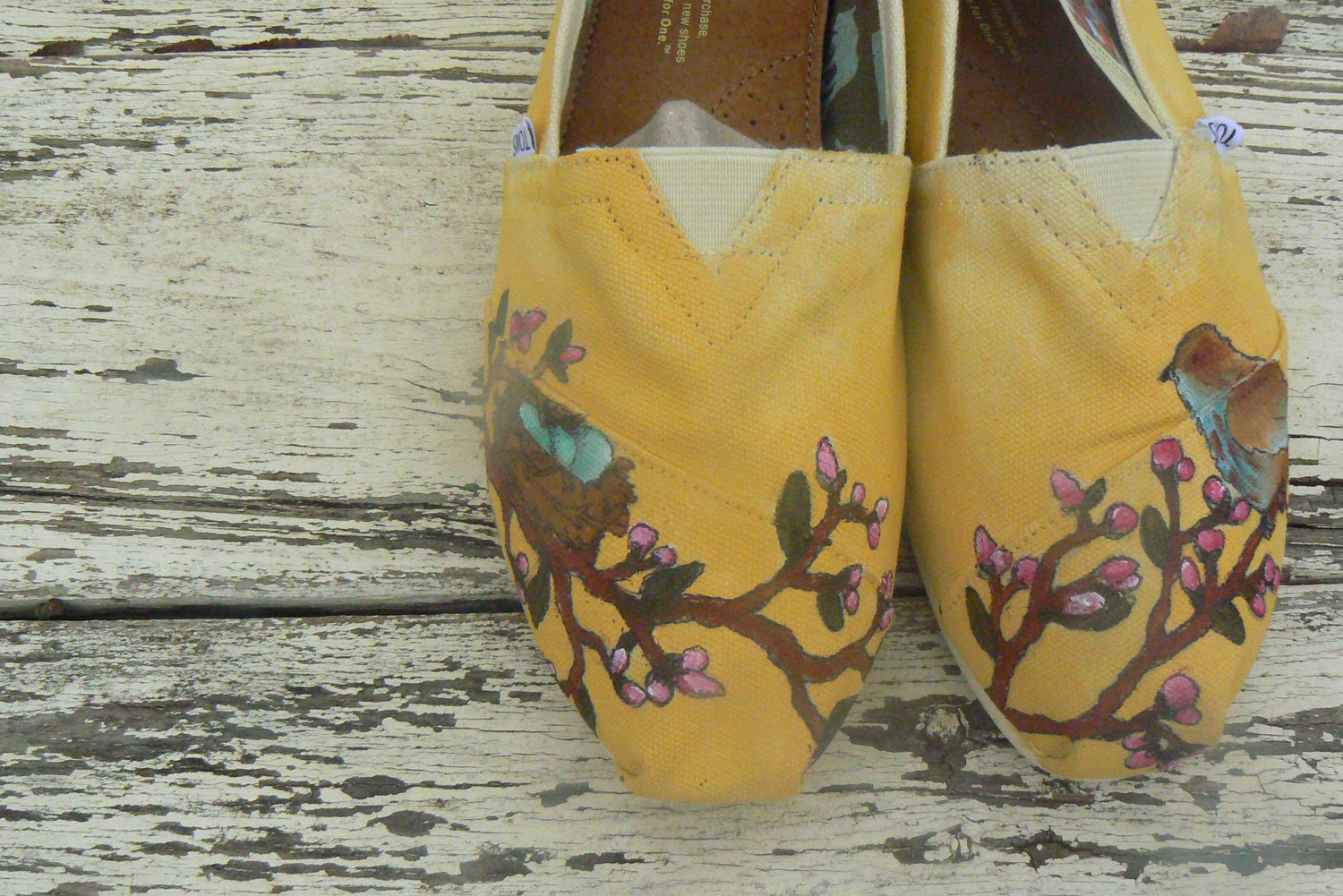 Custom hand painted TOMS, cherry blossom nest