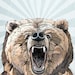 Grizzly // A5 print