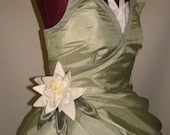 Adult Princess and the Frog Custom Costume