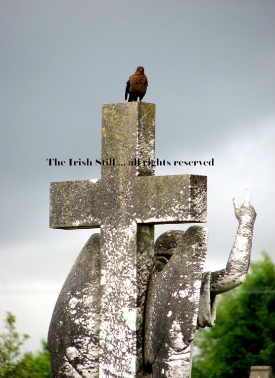 Irish Photography 5x7 ...Rathass Cemetery Creepy Bird, Tralee Co. Kerry