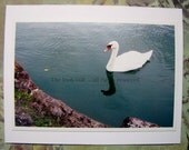 White Swan in Belfast . Scenic Ireland . Child of Lir ...Irish Photo Card