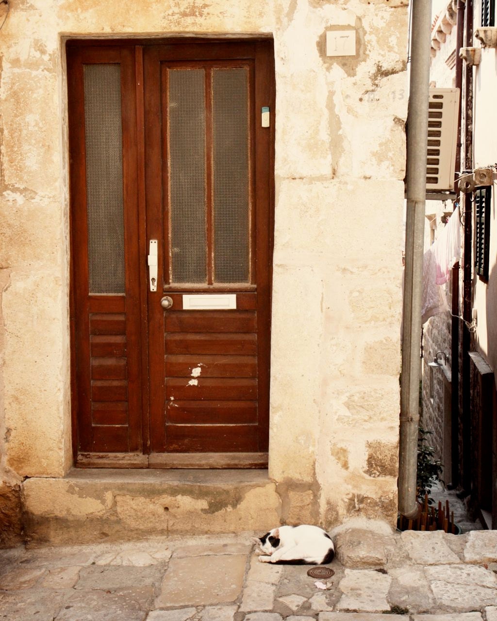 Door Photograph - Cat by Door in Dubrovnik - Croatia Photography - Rustic Decor - Neutral Coffee Brown Print - Cat Photo - Travel Wall Art