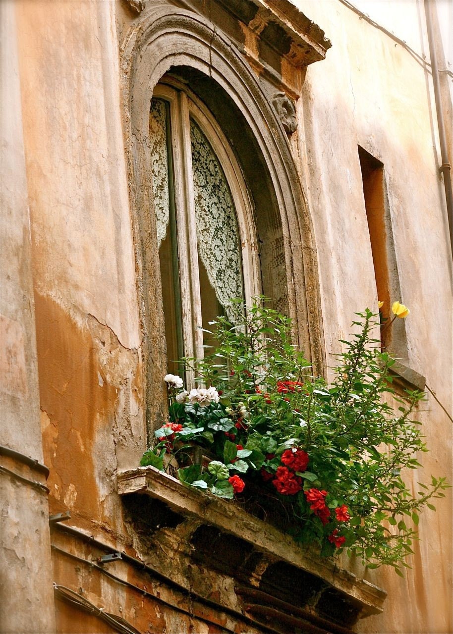 Rome Italy Photography  - Window Garden - Italian Art - Travel Photograph - Flower Print  - Lace Curtain - Home Decor - 5 x 7 Photo
