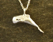 Sterling Silver Sperm Whale Pendant on Sterling Silver Chain.
