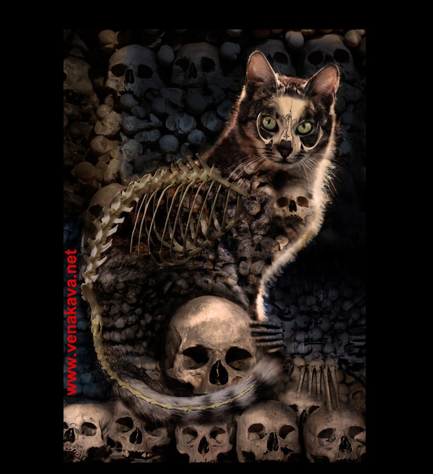 Skull Cat Gothic Print Steampunk 13x19  kitten feline Skelanimal Tattoo halloween Fine Art Canvas Print  Kutna Hora  horror Vena Kava