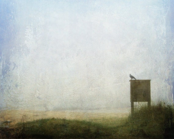 Beach photography, crow photo, whimsical picture, bird photography, minimalist Scandinavian art, 8x10 photograph