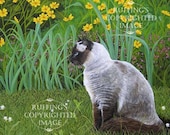 Ragdoll Cat 8.5 x 11 Giclee Fine Art Print Signed Elizabeth Ruffing