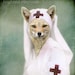 Teal Green and White Fox Art, Mixed Media Collage Print, Nurse Foxy, Altered Vintage Photo
