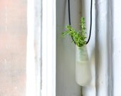 Wearable Planter No. 2, in Translucent